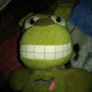 Meet your Posher, Pro